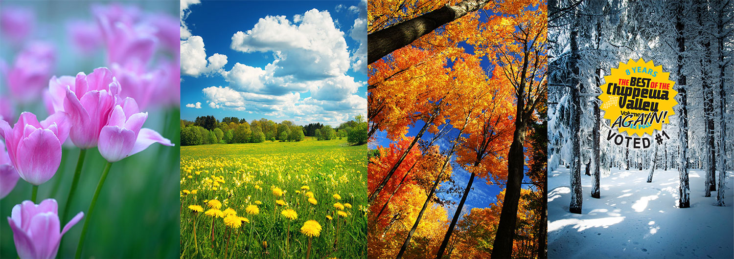photo collage of four season (Spring, Summer, Fall, Winter)